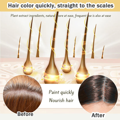 NovaHair Instant Dye Shampoo